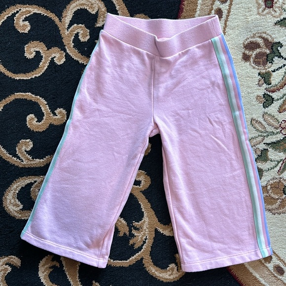 Adorable 3T Janie and Jack sweat suit set, twin set available Fits like a 2T - Picture 2 of 6